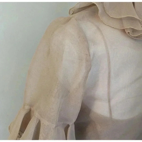 Vintage Lillie Rubin Light Brown Tan Mesh Ruffle Dress Coquette Romantic Twee - Picture 10 of 16